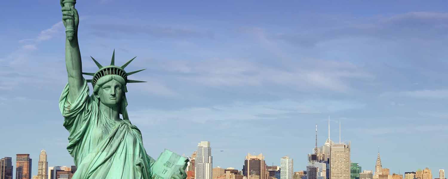 #1 in Website Design